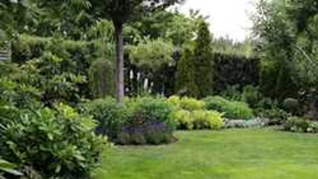 Szúrj villát a kertedbe:szomszédaid elámulnak majd csodás növényeidtől