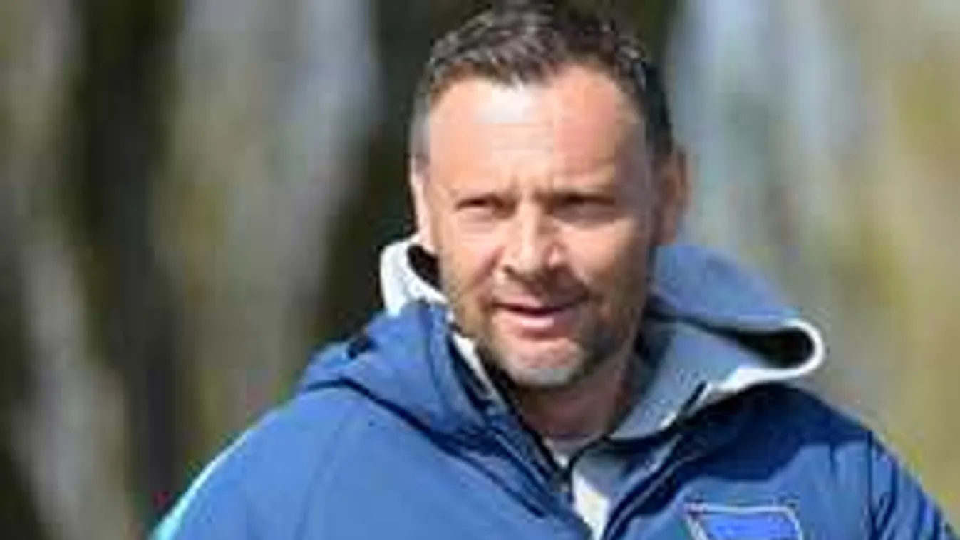 Dárdai Pál újra munkát vállal? Innen kapott ajánlatot