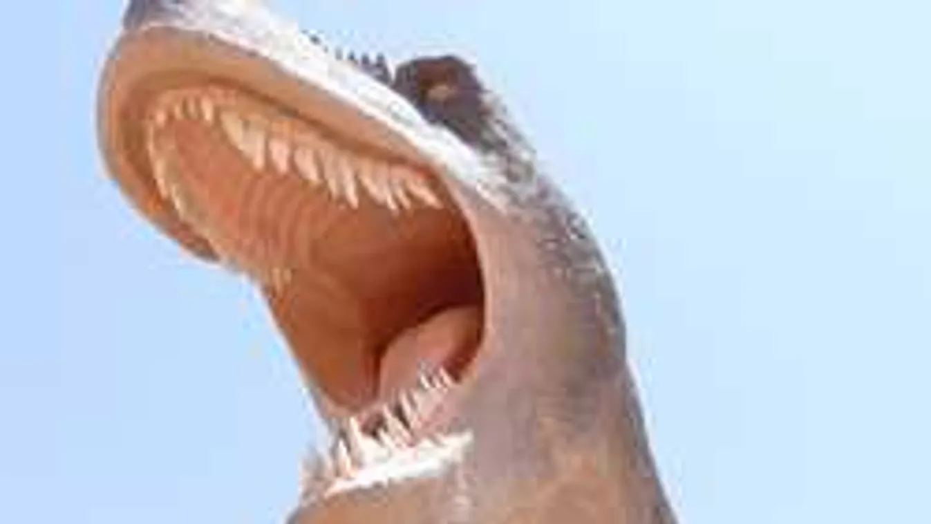 Láttál már több tucat futkározó dinoszauruszt? Mutatjuk videón...