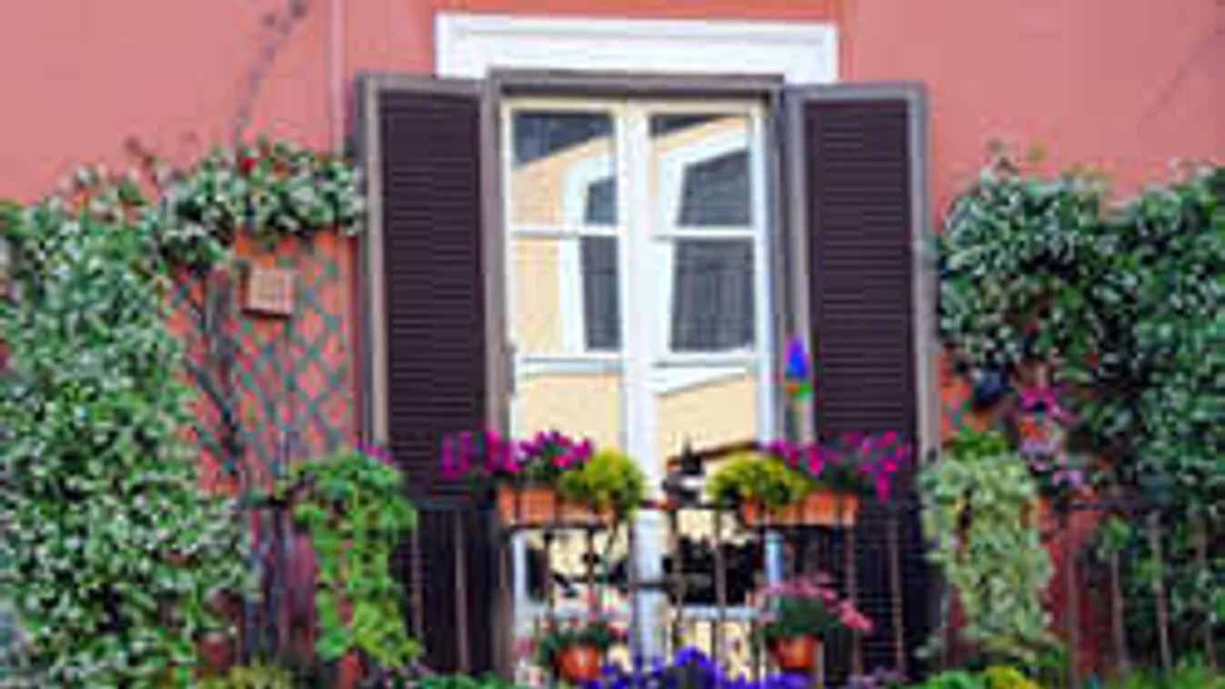 Figyelj, mennyi vizet öntesz növényeidre - komolyan megbetegedhetsz!