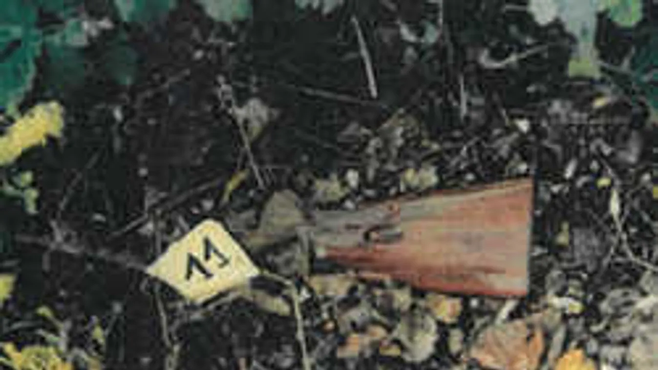 Közölte a rendőrség: Ezt a férfit is meg akarta öletni Portik Tamás