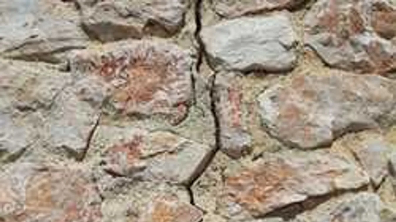 Most közölték: földrengés rázta meg Jászberény környékét