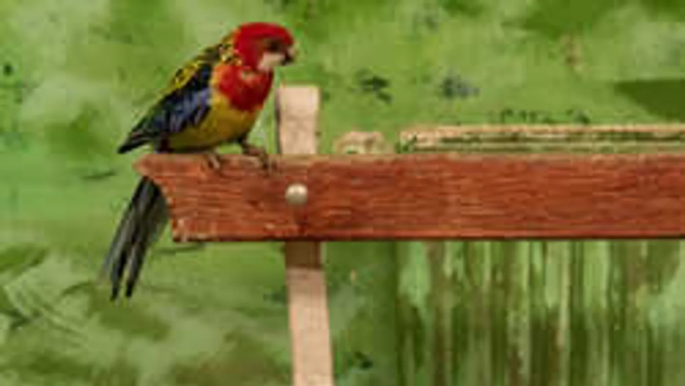 Hihetetlen meglepetés, szombaton ne hagyjátok ki az állatkertet