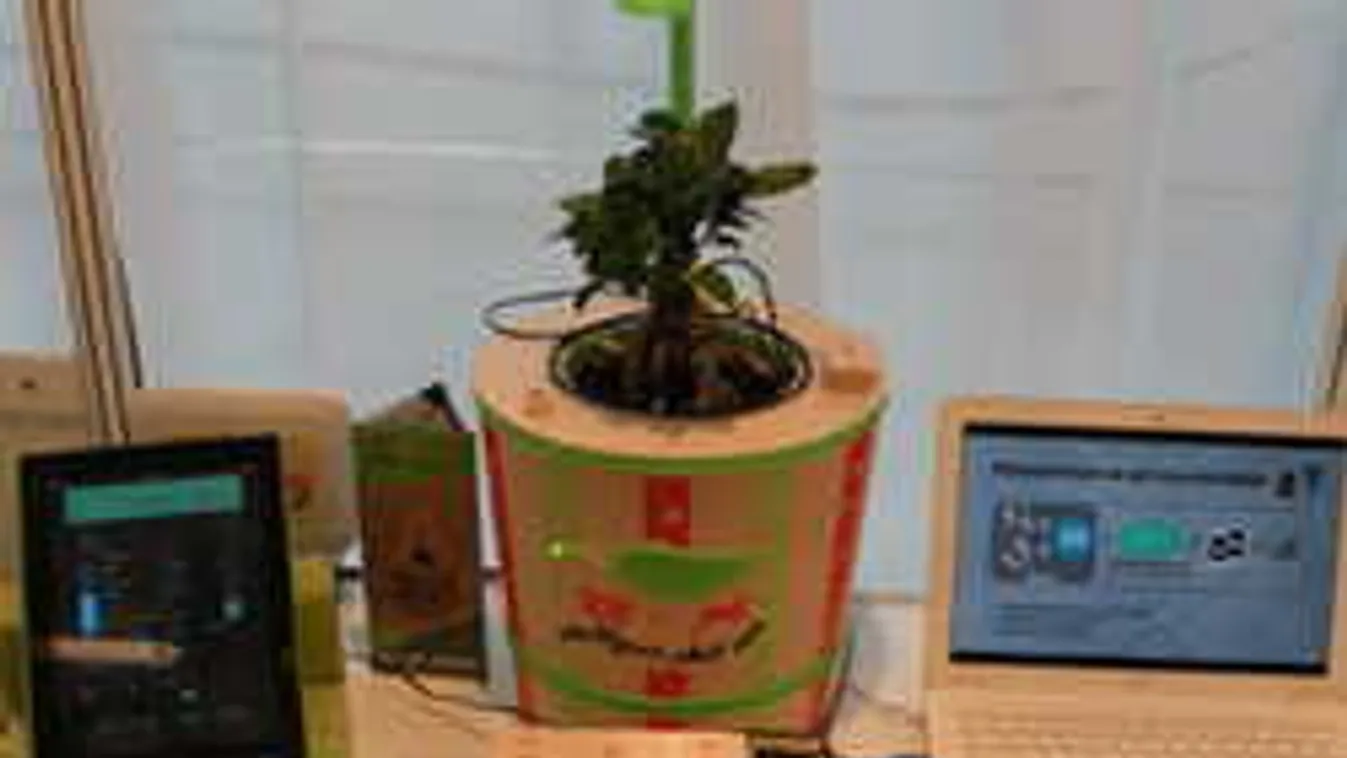 Magától locsolja a virágot az okoscserép