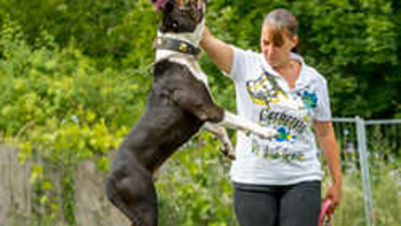 Gyilkológépeket szelídít meg a fiatal magyar lány