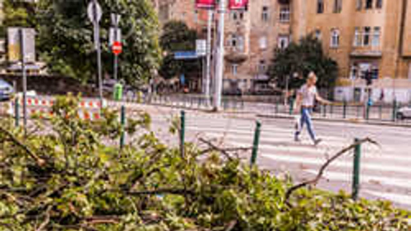 Vihar országszerte: ide hívták legtöbbször a tűzoltókat