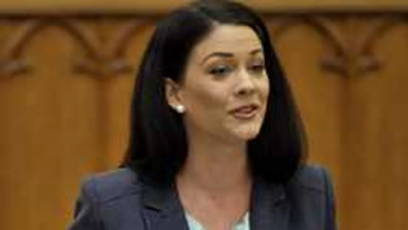 Felfüggeszthetik Demeter Márta mentelmi jogát