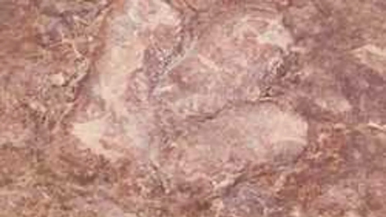 Titok a Bakony mélyén: pikkelyes, páncélos ragadozókra bukkantak