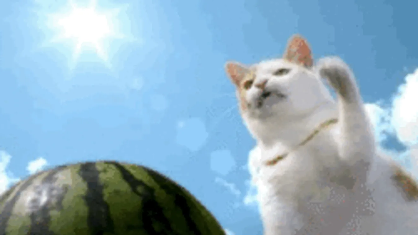 Tombolni fog a forróság, a héten csak a szél hoz enyhülést