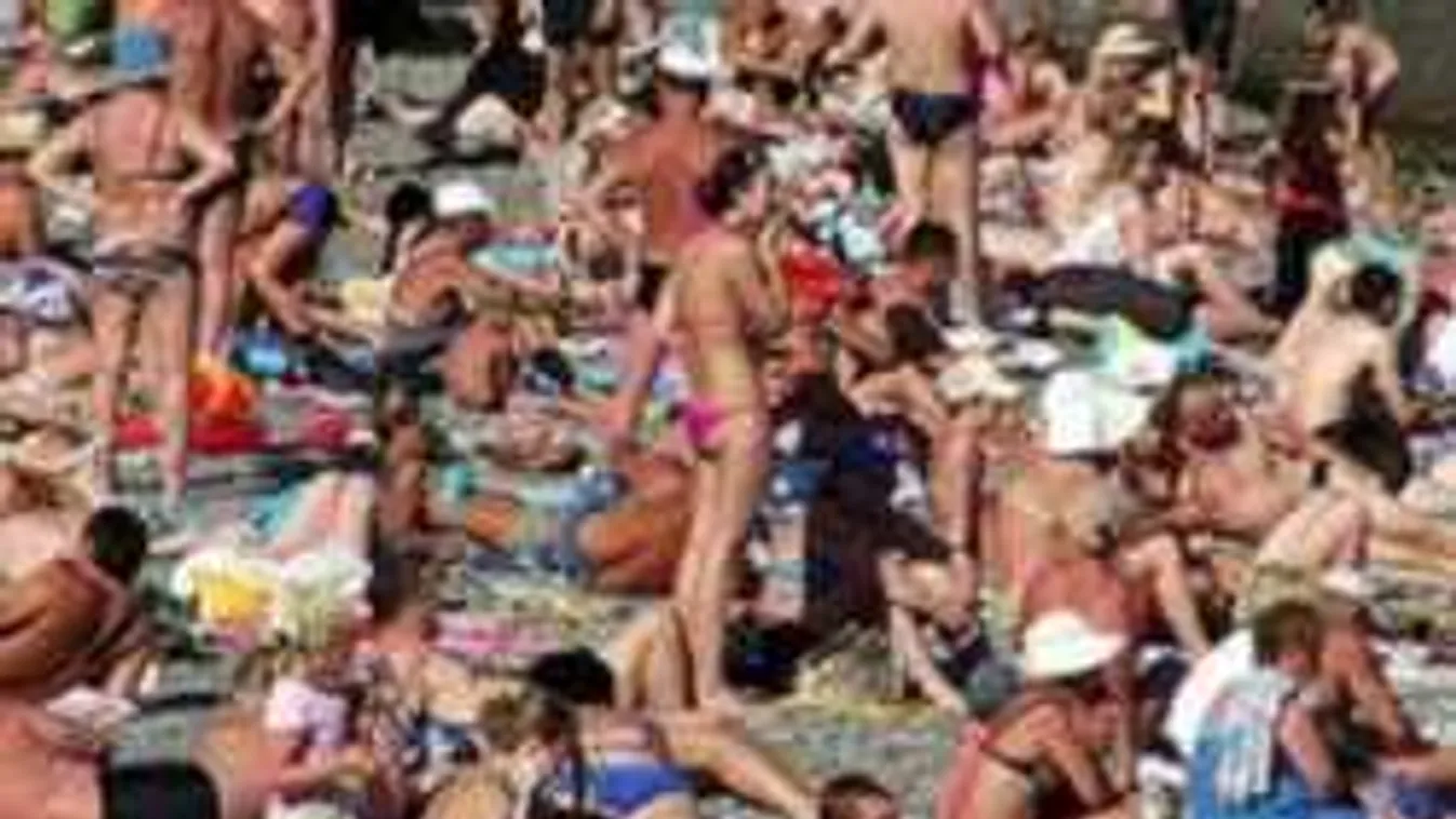 Találd meg a macskát a képen: kiderül, sasszemed van-e!