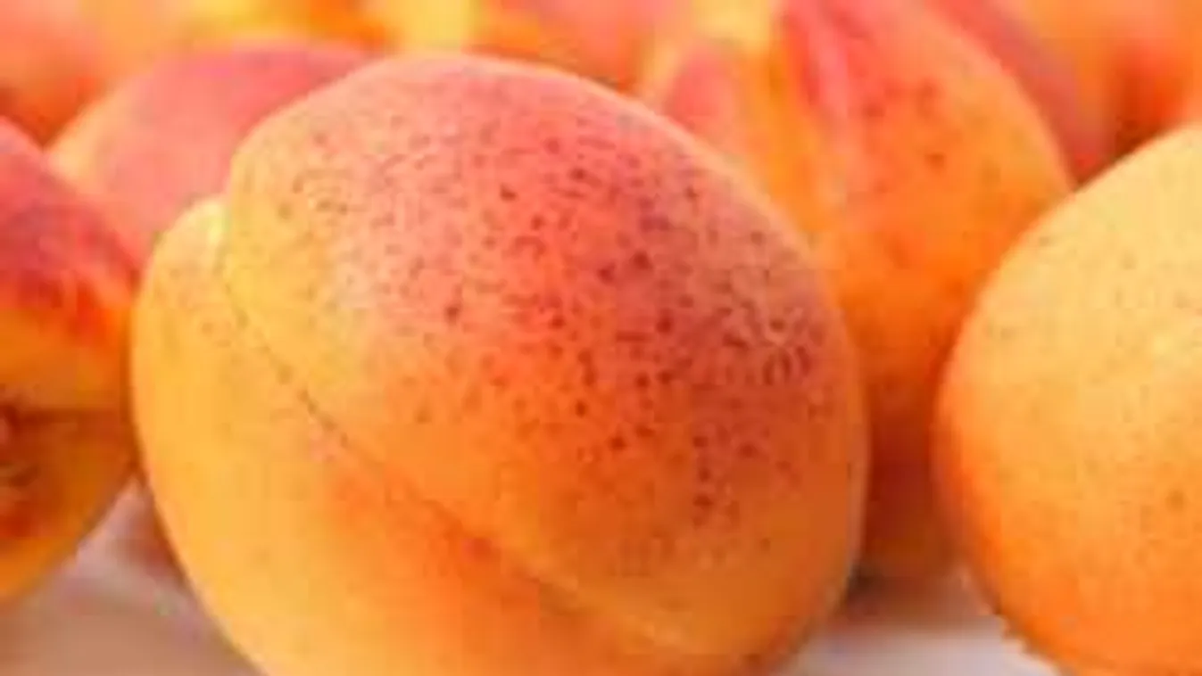 Világszenzáció:Õrület, mit csinált sárgabarackból a magyar háziasszony