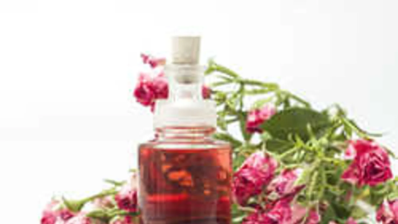 Sok a kertben a rózsa? Ne hagyd lehullani, tedd a fazékba!