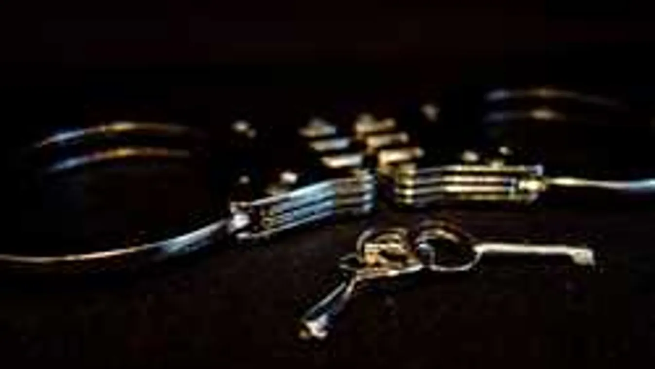 Kivonult a TEK, nagy erőkkel csaptak le Pest megyében