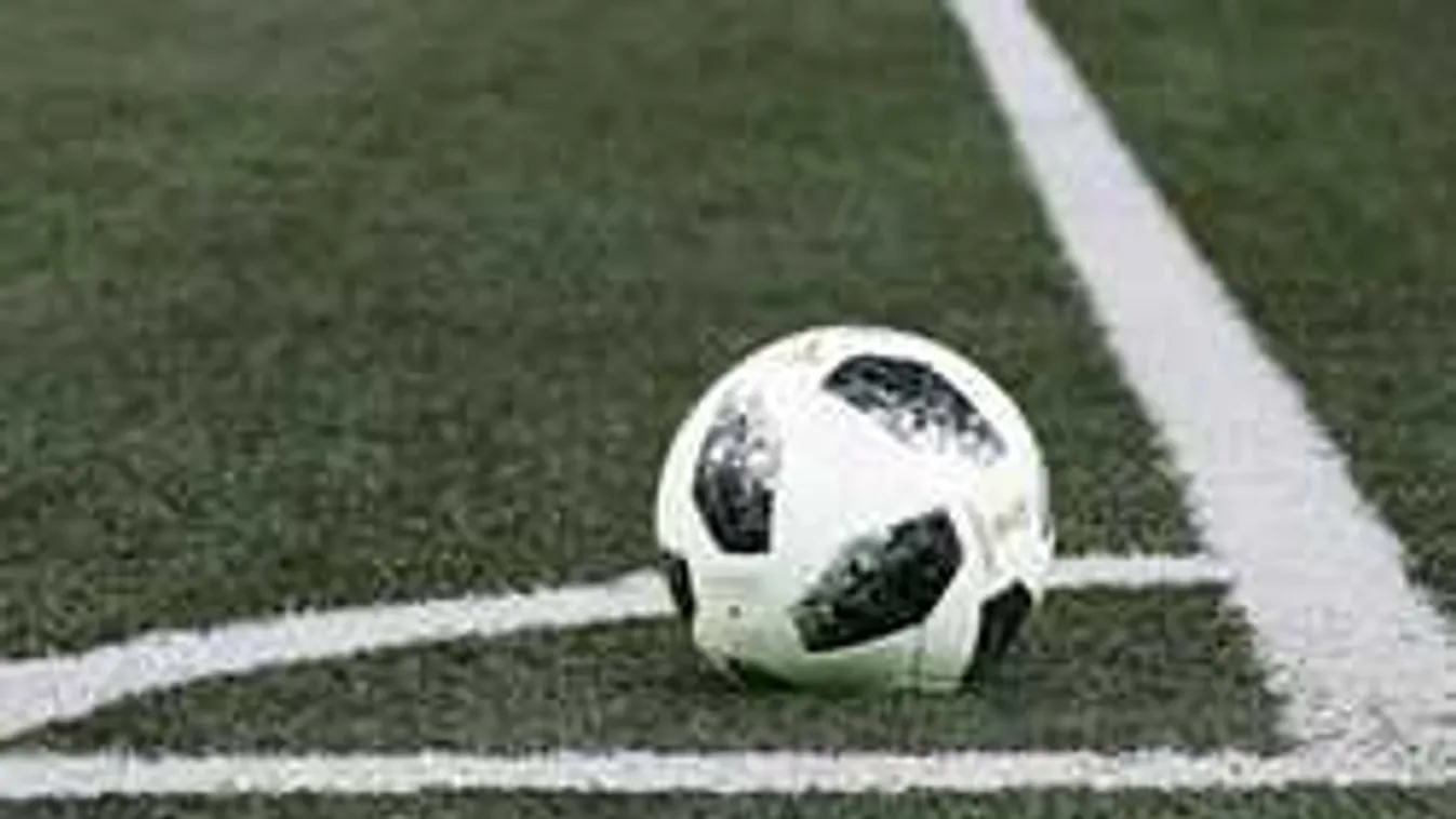 Félbeszakadt az interjú, ettől a hangtól mindenki röhögésben tört ki