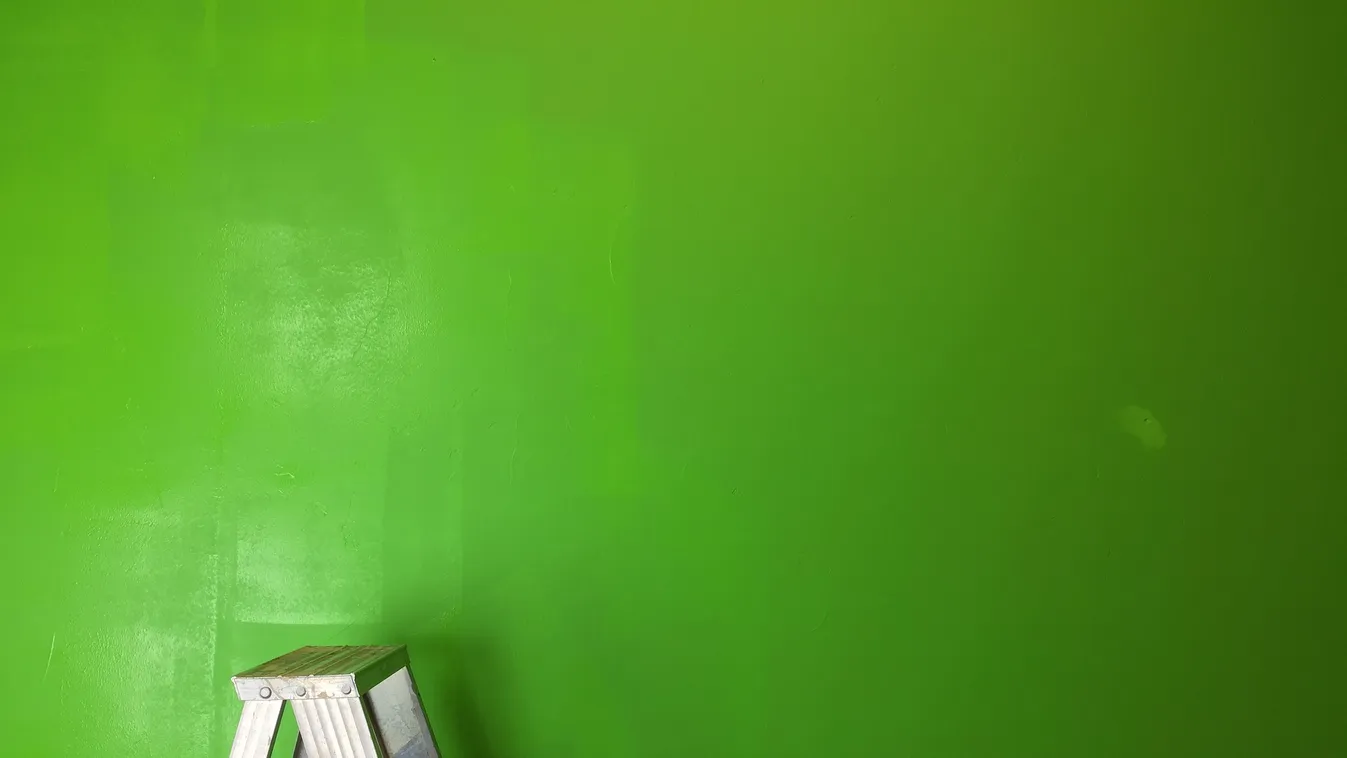 Beszorult a feje a létra fokai közé, öt nap múlva mentették ki