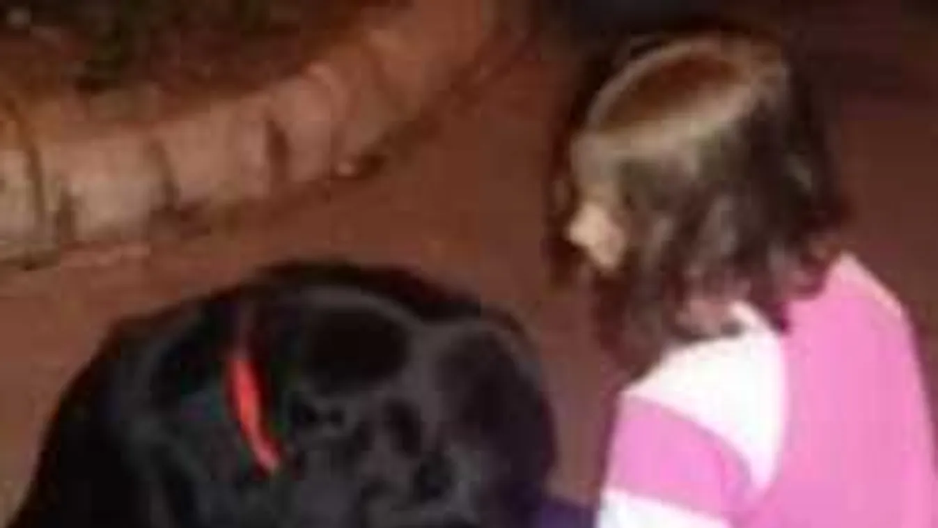 Hős rendőrkutya találta meg a magyar kislányt