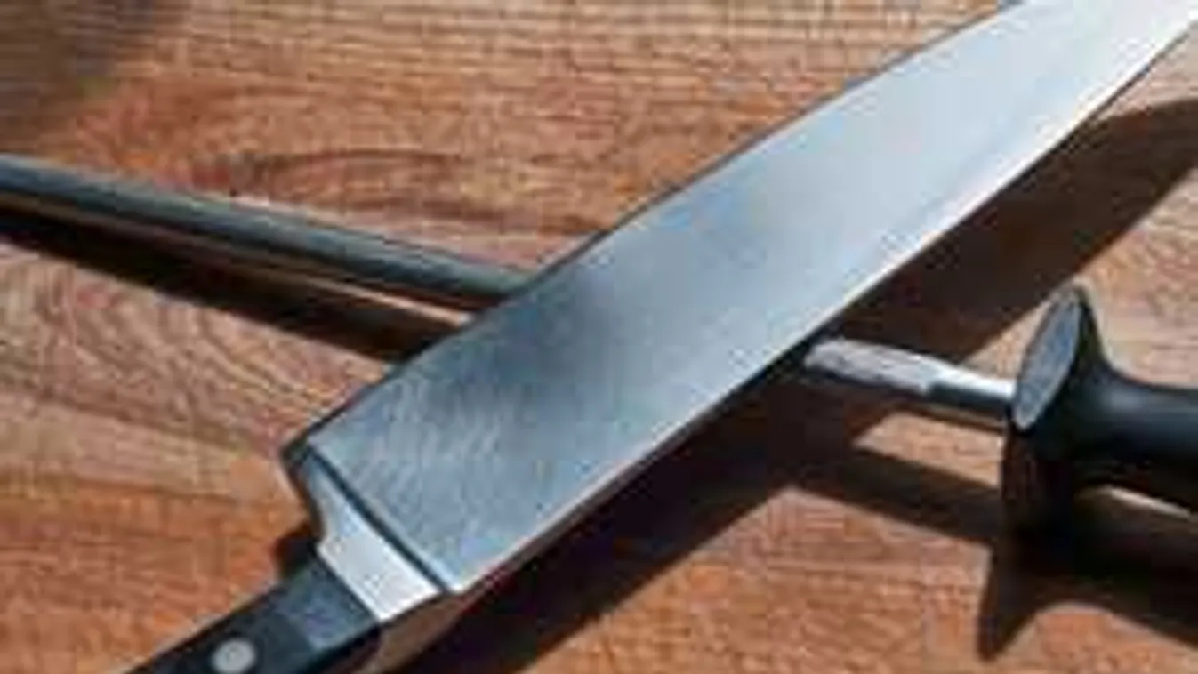 Apja próbálta menteni Vanesszát a vérengző barátjától