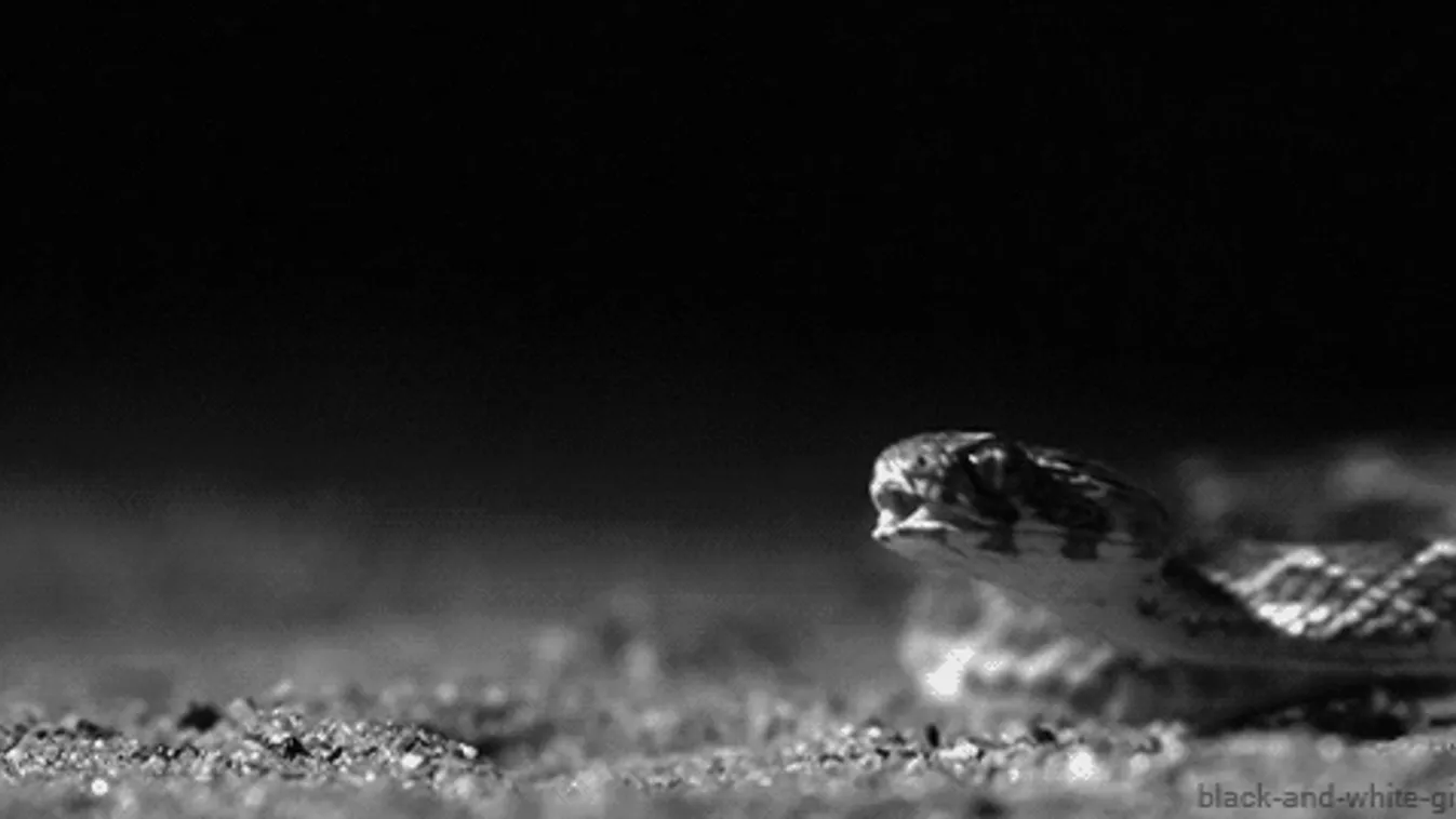 Pánik az Ázsia Expressz forgatásán: Halálos veszély lesett a stábra