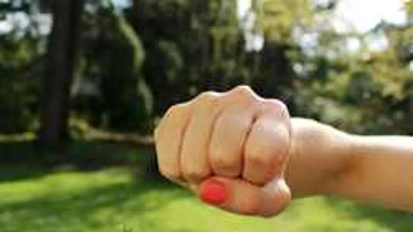 Döbbenetes felvételek: tinilány verte össze diáktársát Vas megyében