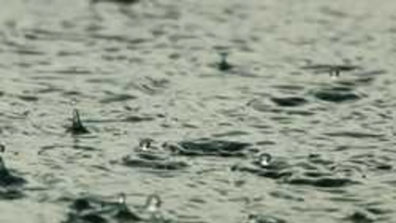 Borzalom Dunahidason, vízen lebegő holttestre bukkantak