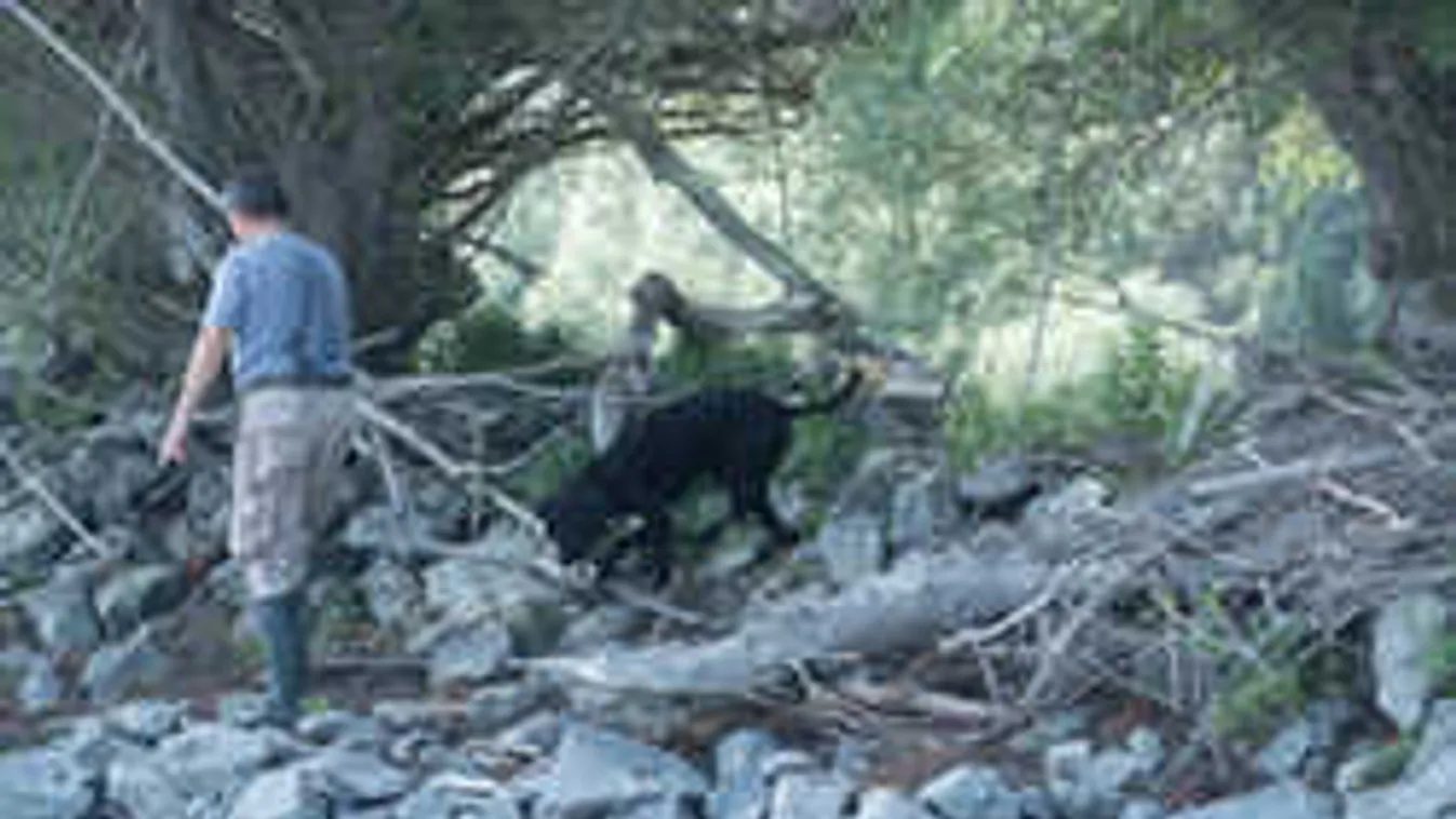 Dunai hajóbaleset: tovább kutatnak az utolsó koreai áldozat után