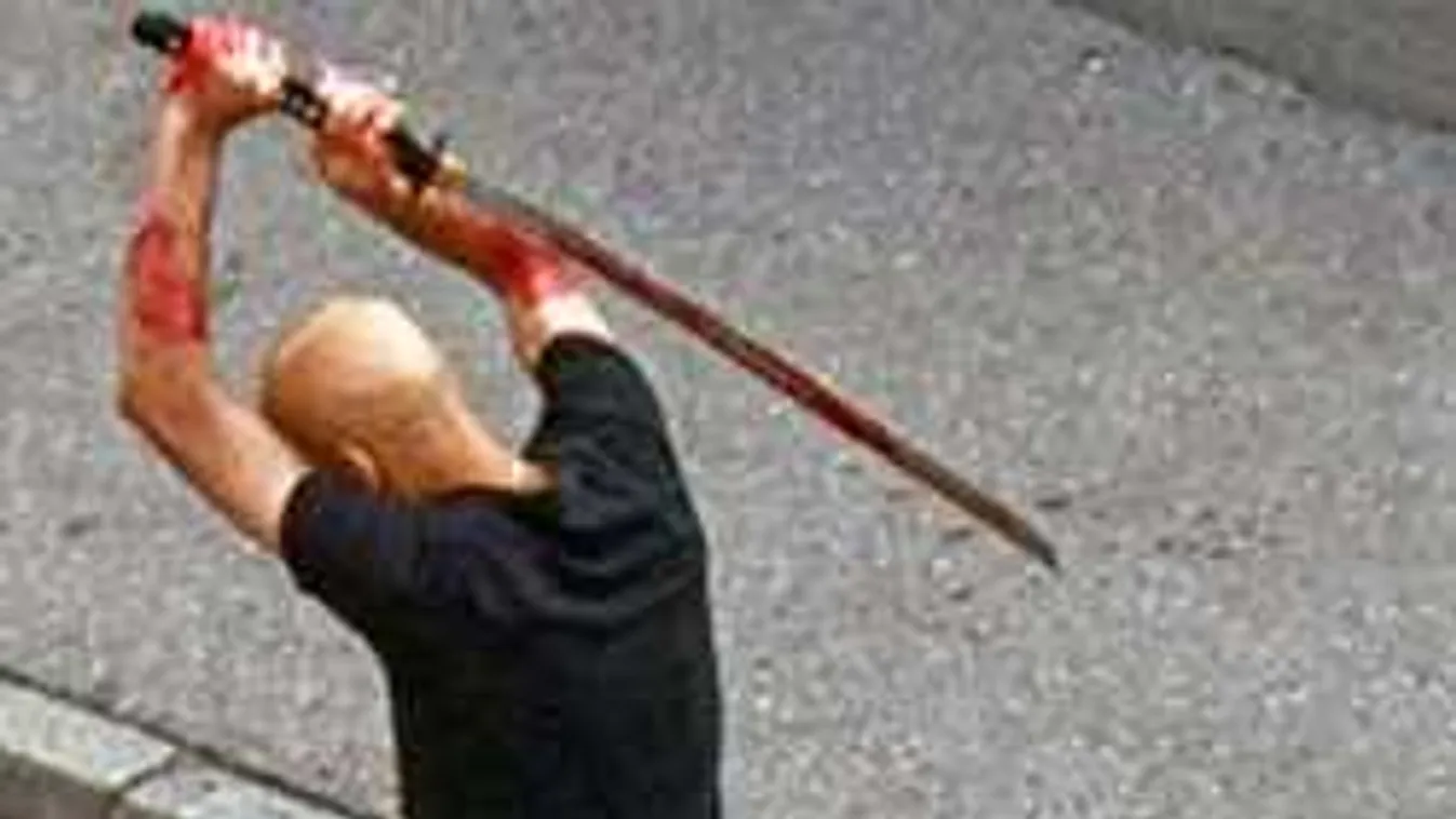 Bosszúból mészárolta le volt lakótársát a "kardos" migráns