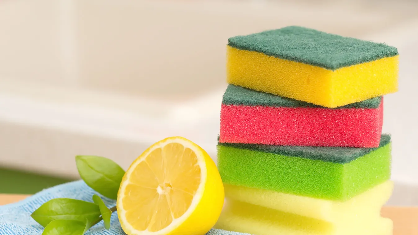 Óvatosan a mosogatószivacsokkal, hihetetlen, mi mindent rejtenek