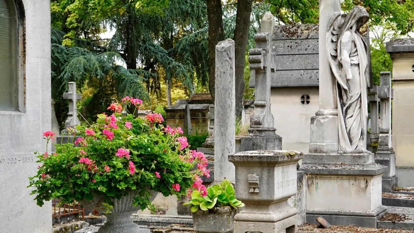 Sokkot kaptak a tudósok: mozgó holttesteket filmeztek a farmon