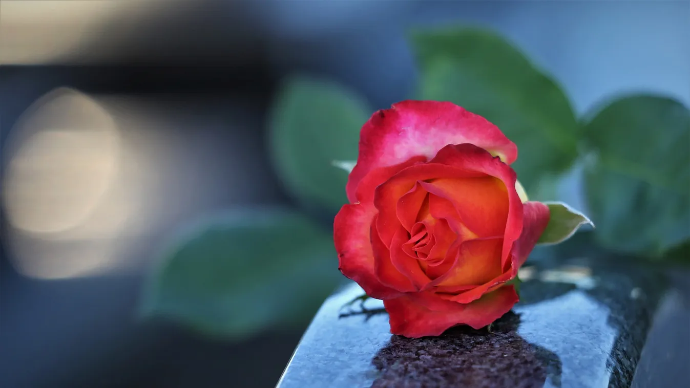 Zokogva nyilatkozott a meggyilkolt Csenge édesanyja, állandó rettegésben él