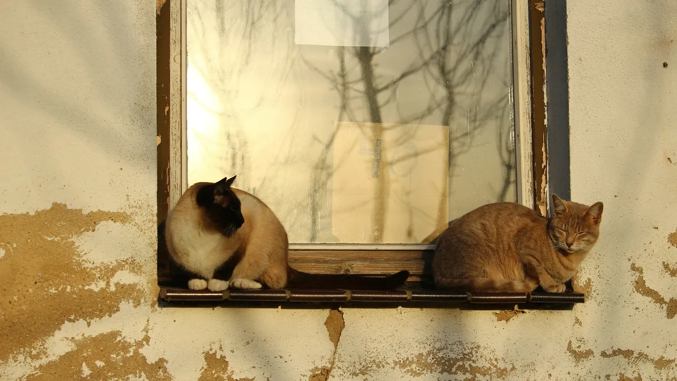 Kitart az őszi meleg, csak ezekben a megyékben nem lesz tökéletes az idő