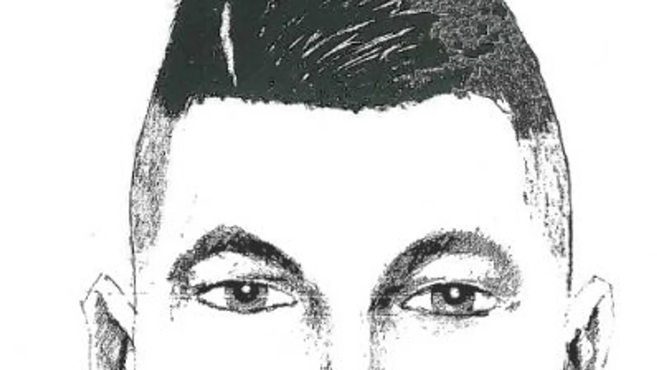 Közölte a képet a rendőrség: ez a férfi erőszakolt éjjel Miskolcon