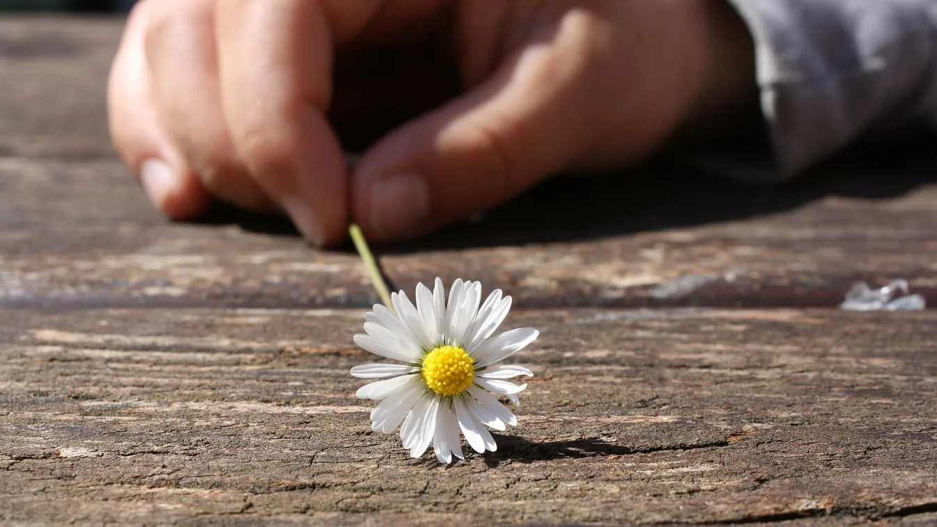 Új remény a szülőknek: 20 év után épségben került haza az orosz "Maddie"