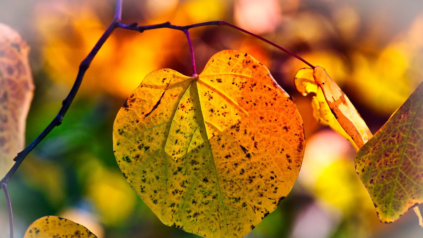 Készülj, jön az eső: hétfőtől cudar idő vár ránk
