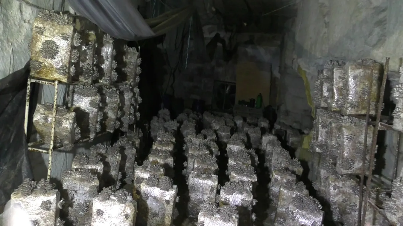 Lecsapott a rendőrség Budapesten, hihetetlen, mit rejtegetett a férfi