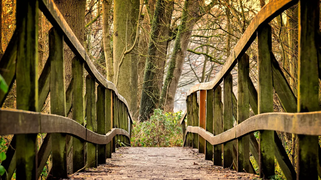 Borzalmas látvány: meztelen női holttestet találtak a pozsonyi hídnál