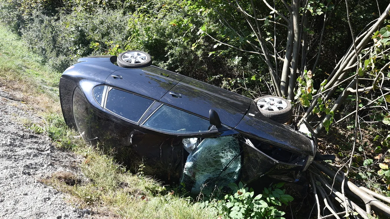 Megszólalt a szarvassal ütköző sofőr: Elájultam, de a kocsi ment tovább