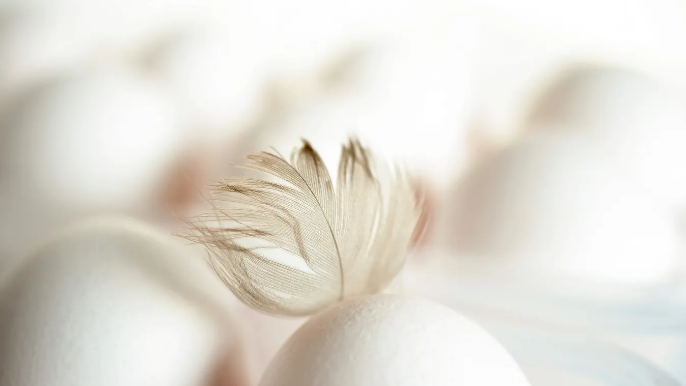 Baj van a tojással, brutális árváltozás miatt tárgyalnak az áruházak