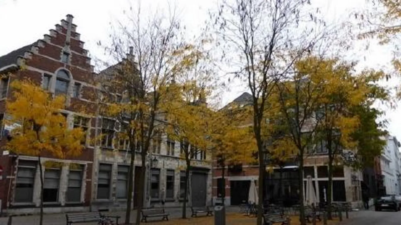 88 éves néni torkát vágta el egy migráns Antwerpenben