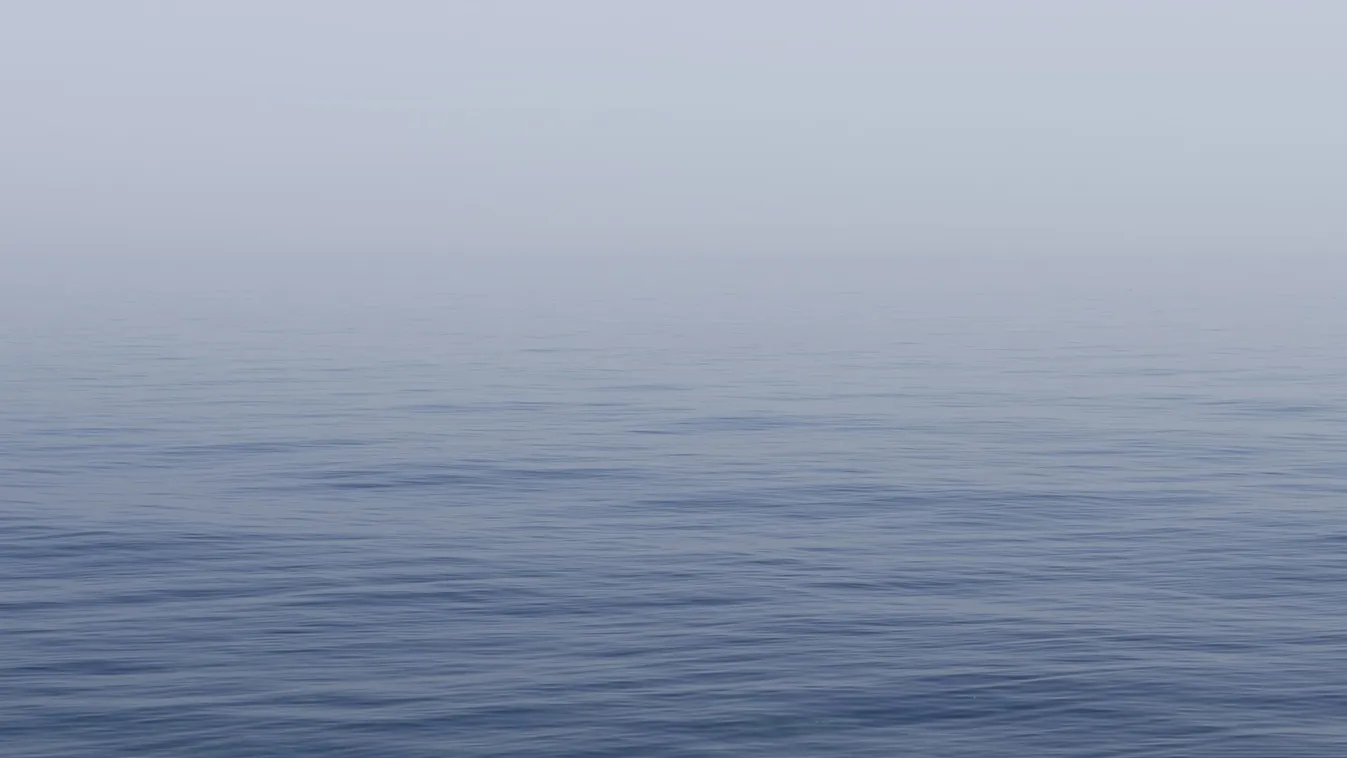 Űrlényszerű szörnyet mosott partra a tenger, fotóval