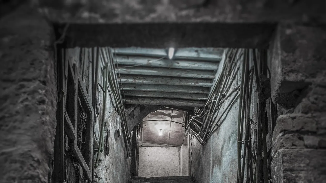 Sokkot kapott a család, amikor lement a pincébe: bokáig érő vér fogadta őket