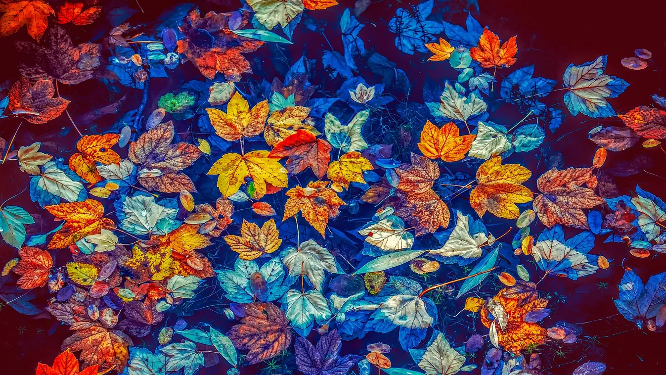 Máris itt a dermesztő hideg, a következő reggelekben nem lesz köszönet