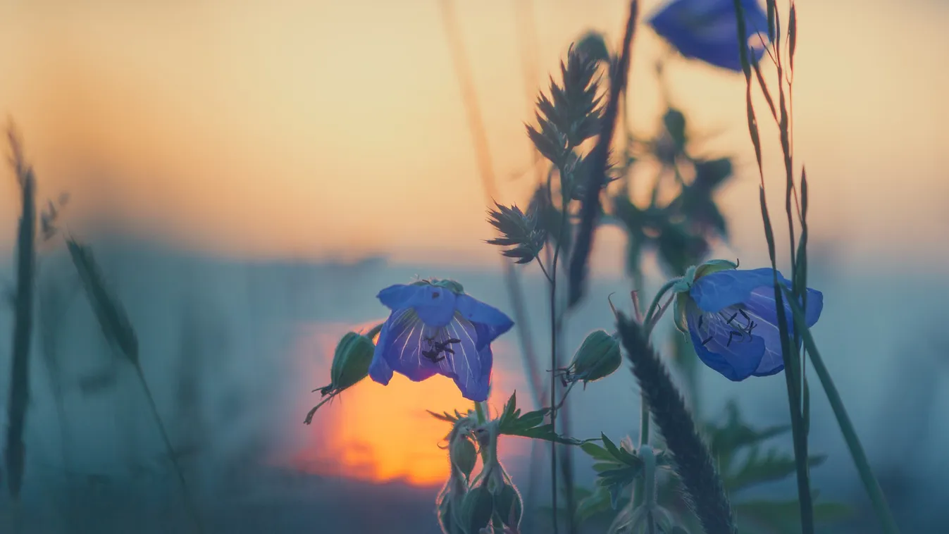 Beköszöntenek a ködös reggelek, de utána kellemes fordulat jön