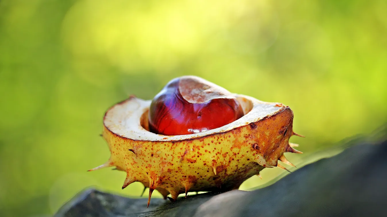 Durva lehűlés jön, 10 fokkal csökken a hőmérséklet a hét közepén