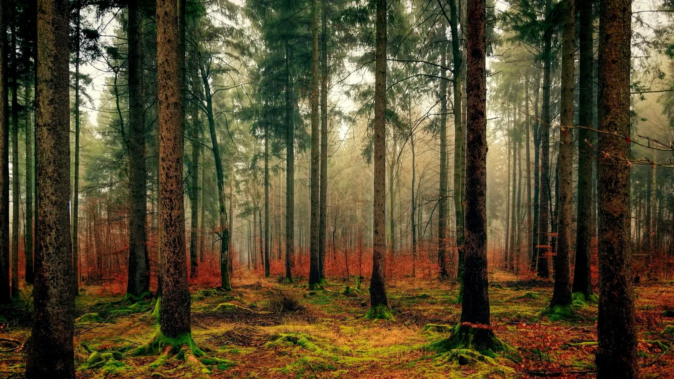 Sötét napok jönnek, a borongós idő csak ekkor vonul el az országból