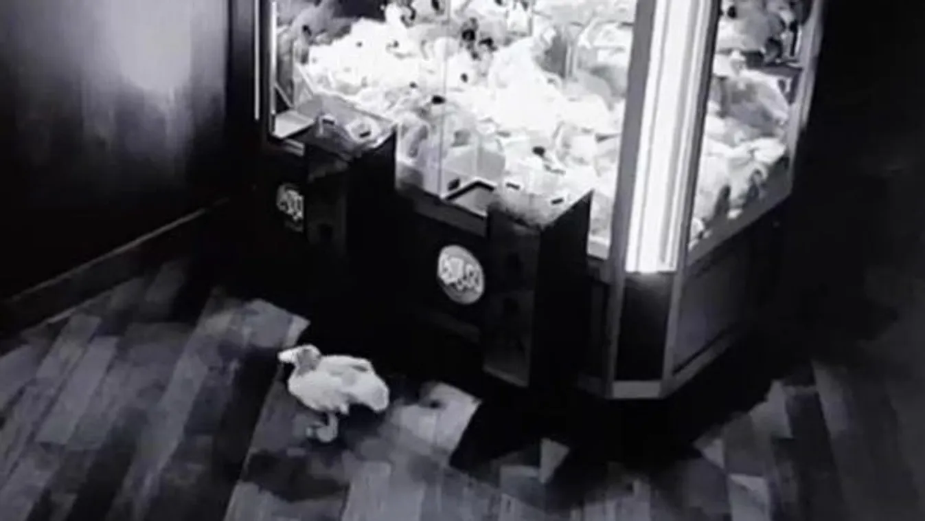 Hátborzongató jelenetet rögzített a bár biztonsági kamerája - Videó