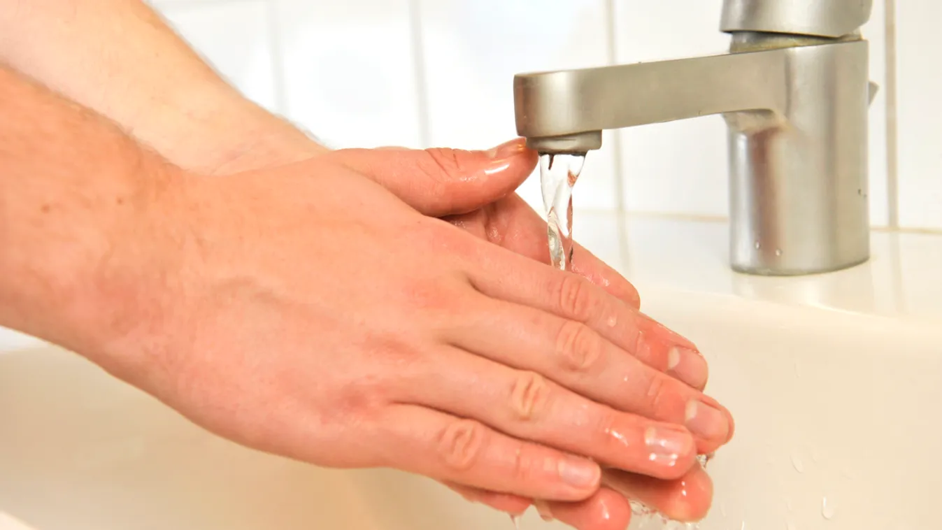 Durva dolog derült ki a hajdúsámsoni szalmonellafertőzés okáról