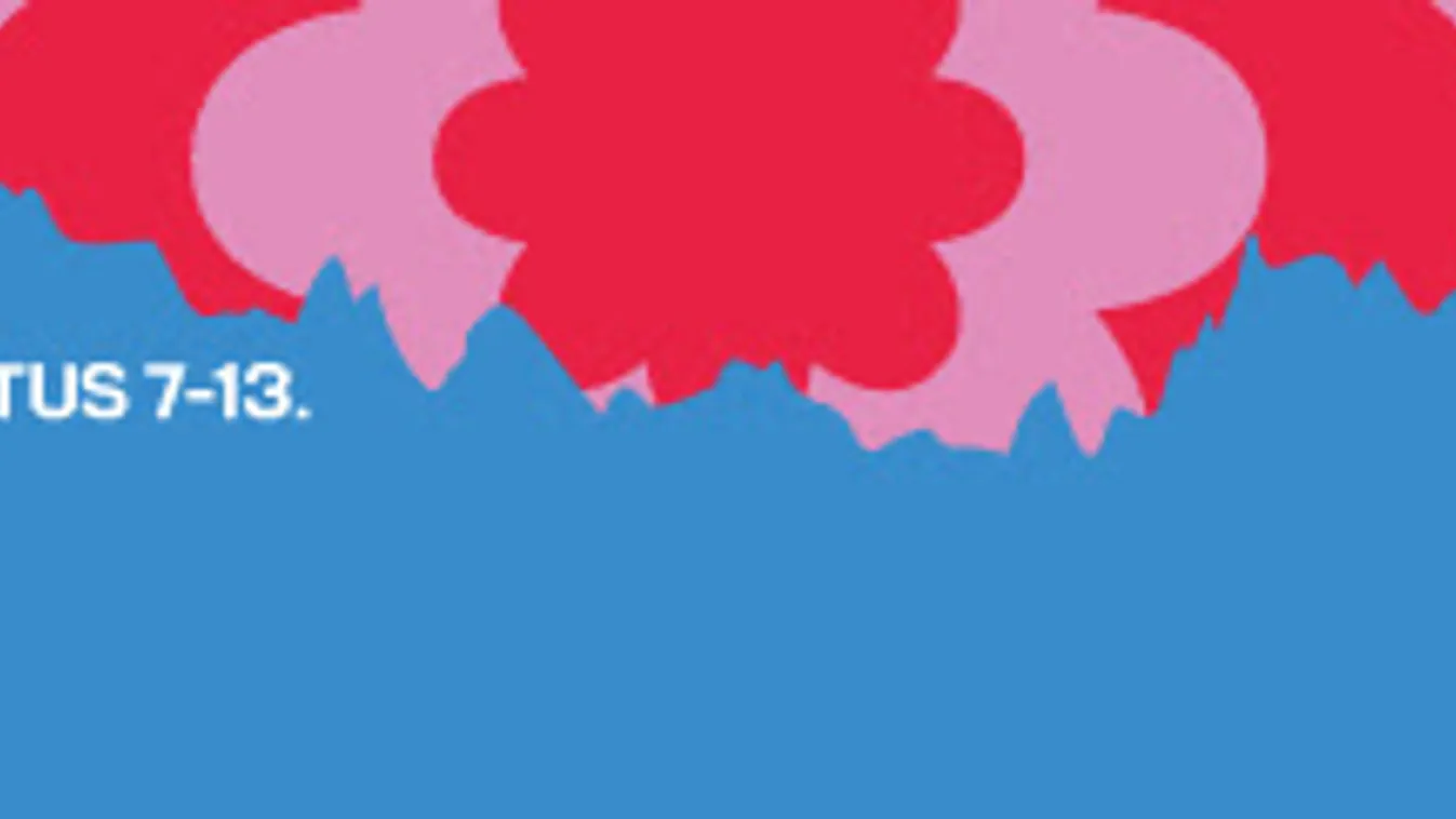 Zakatol a Sziget kívánsággép