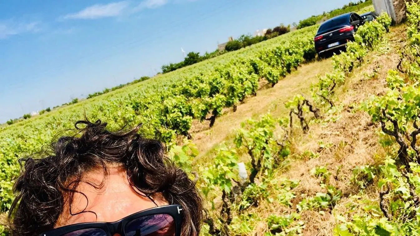 Botrány a lelátón, kiakadt a Honvéd korábbi balhés vezetője