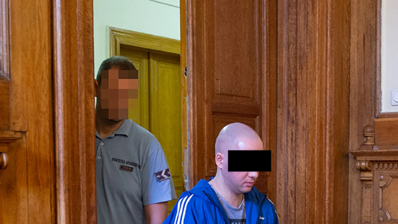 A Népligetben erőszakolta meg a nőt a gyilkos, életfogytiglant kapott