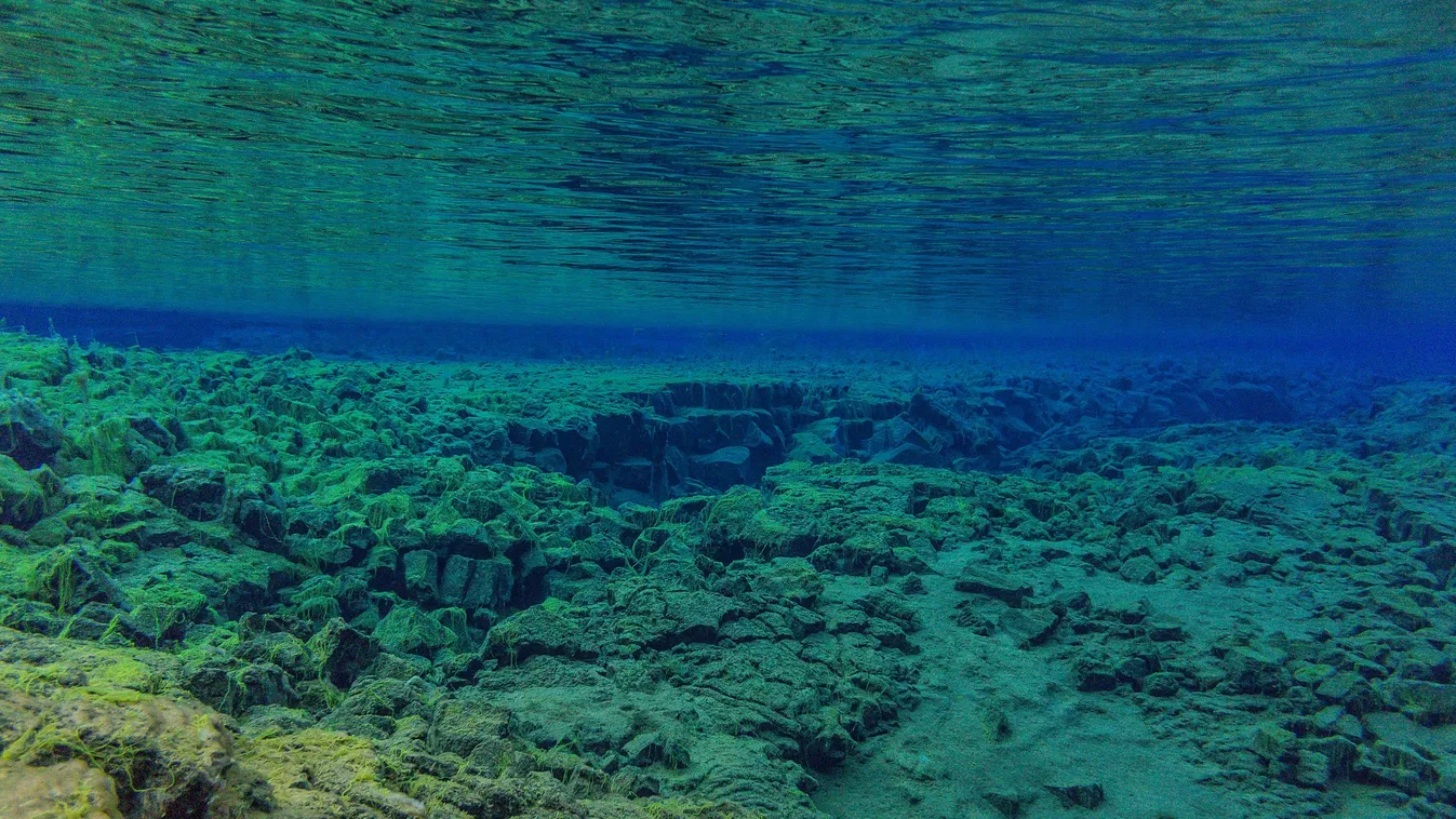 A tudósok is elképedtek: rejtélyes emberméretű jelenség a tenger mélyén